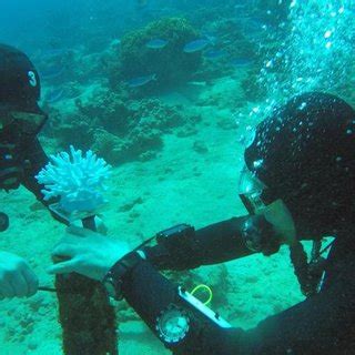 Image result for First Installation