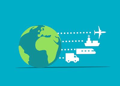 Export Procedure Class 11 的图像结果