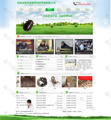 亳州土元养殖网页模板网页UI素材免费下载(图片编号:4784115)-六图网