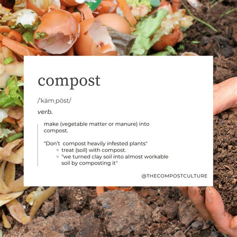 Compost Bagging System 的图像结果
