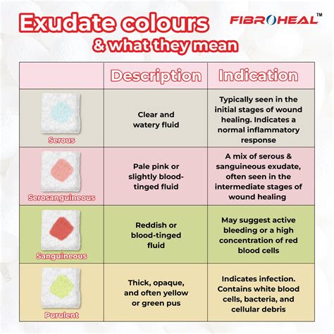 Types Of Wound Discharge Healing Response In Acute And Chronic Wounds