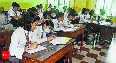 Mosquito: Avoid Puddles And Playgrounds: Dengue-wary Schools To ...