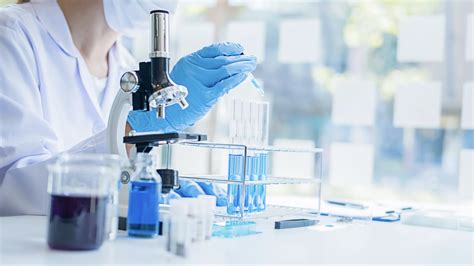 In Vivo vs. In Vitro Research Differences & Applications | Biointron