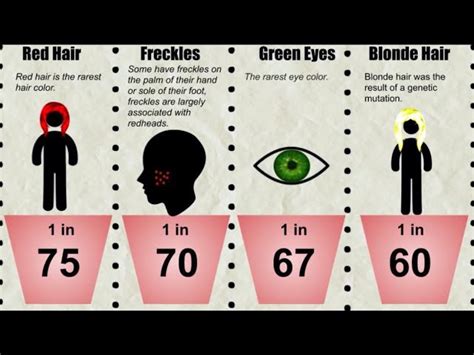 Probability Comparison Human Traits 的图像结果