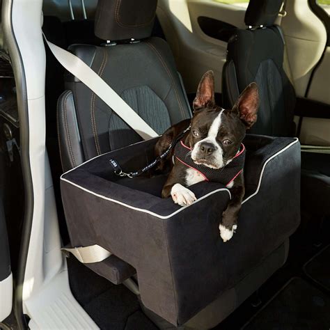 The 8 Best Dog Car Seats of 2021, According to a Veterinarian
