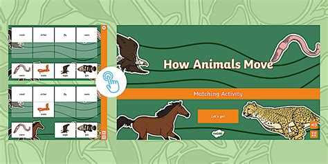 How Animals Move Interactive Matching Game