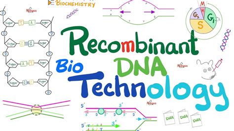Define Recombinant 的图像结果