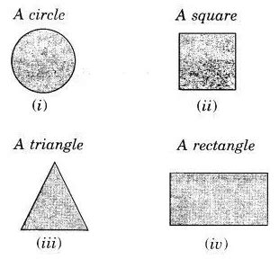 Here are the shadows of some 3-D objects, when seen under the lamp of ...