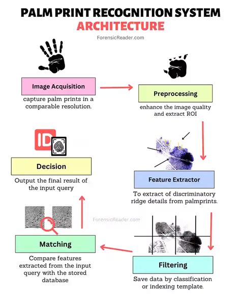Palm Print Identification System 的图像结果