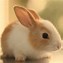 Image result for Big Eyes Rabbit Baby