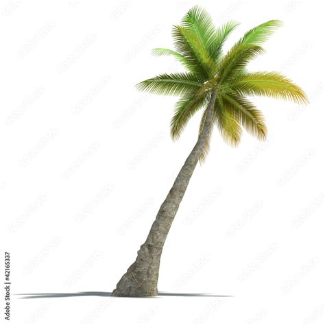 JavaScript Palm Tree Design Open Processing 的图像结果