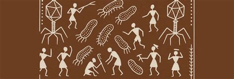 The Bugs Fighting Superbugs | The India Forum