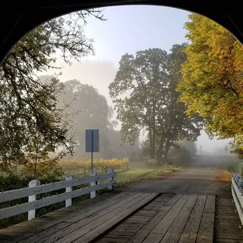 HARRIS BRIDGE VINEYARD (2026) All You Need to Know BEFORE You Go (with ...