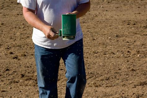 Broadcasting Planting 的图像结果