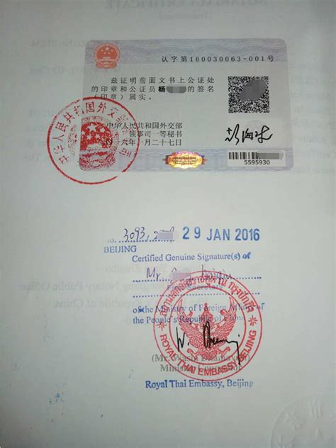 海外留学，中国出生证明公证双认证实操步骤 - 哔哩哔哩