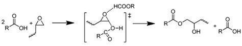 Theoretical and Experimental Insights of Benzimidazole Catalyzed by the ...