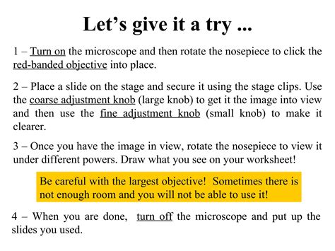 Basic Microscope Use 的图像结果