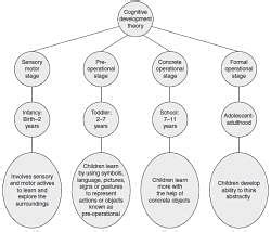 Notes: Cognitive Development Theory - Child Development and Pedagogy ...