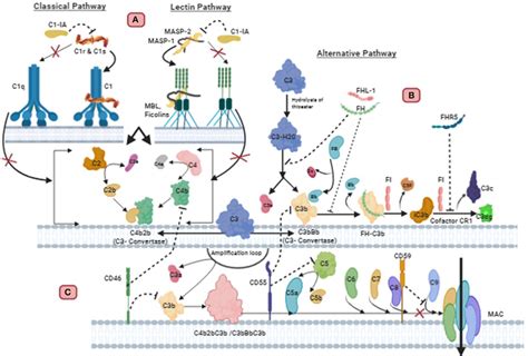 Image result for Research Design Descriptive Method Example