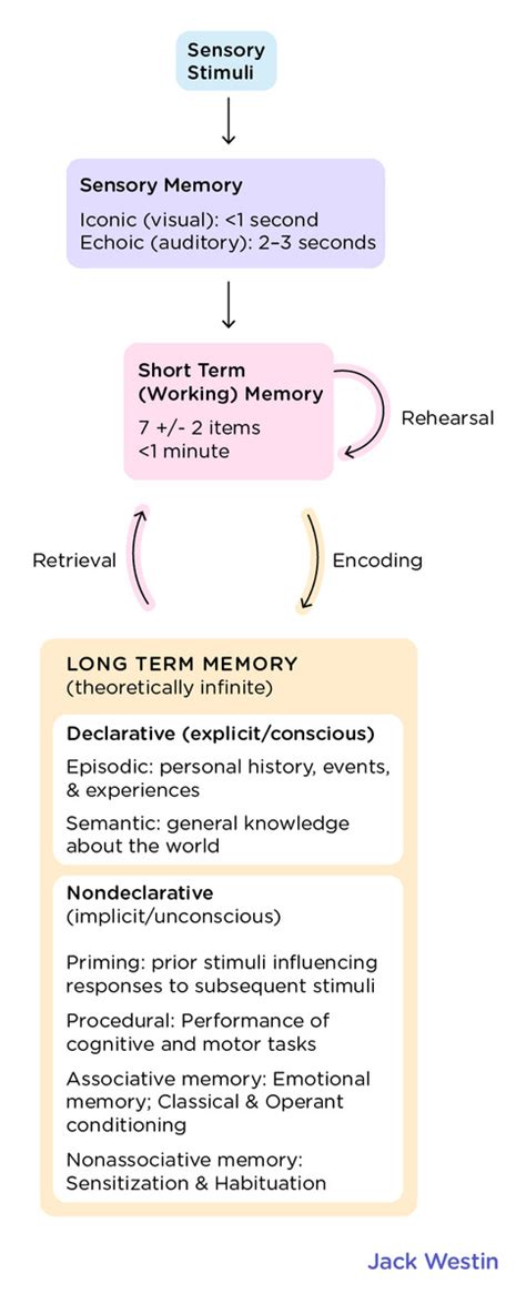 Storage Units of Memory Practice 的图像结果