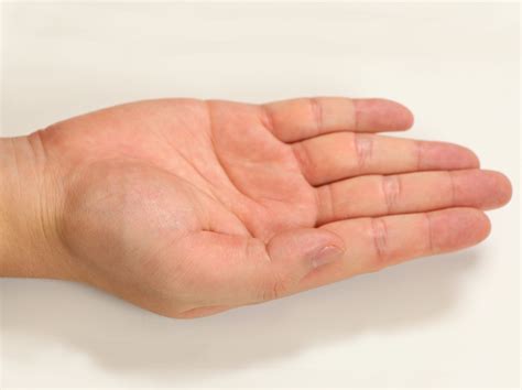 Image result for High-Resolution Hand MRI