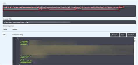 Establish Connection Between Your BambooHR Trial and Open Connectors ...