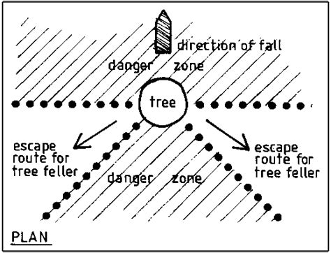Image result for Tree Felling Escape Route