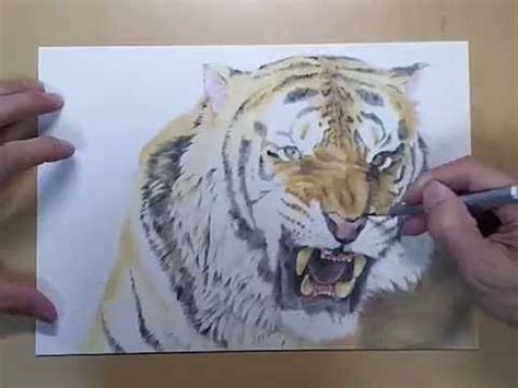 Image result for Custom CSS File