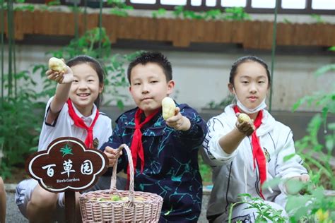 喜报！上海外国语大学秀洲外国语学校大队荣获2022年度“嘉兴市红旗大队”称号