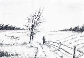 what are fruit flies drawn to