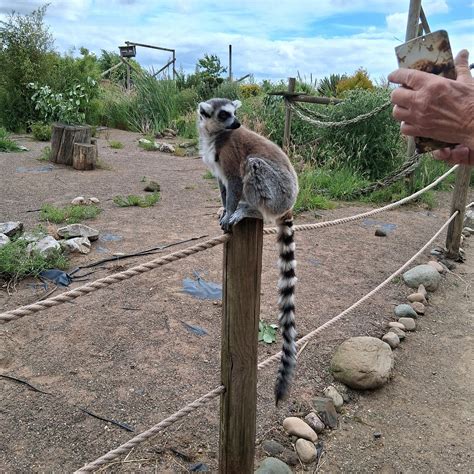 FIFE ZOO - All You Need to Know BEFORE You Go 2026 (with Photos ...