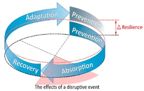 Assessing Resilience of Urban Critical Infrastructure Networks: A Case ...