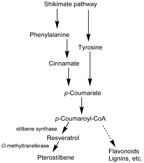 Benefits of Resveratrol and Pterostilbene to Crops and Their Potential Nutraceutical Value to ...