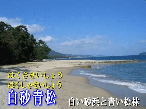 天橋立を知って守ろう！／京都府ホームページ