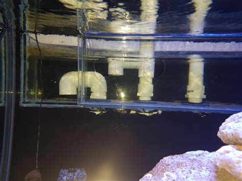 Image result for Reef Overflow Box