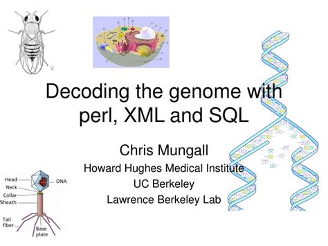 Image result for Perl Programming Language Genome