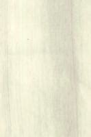 82980 JG Herne Elm 8 ft x 4 ft Italia Joinery Groves Finish Laminate ...