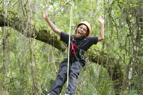 Climb That Tree 的图像结果