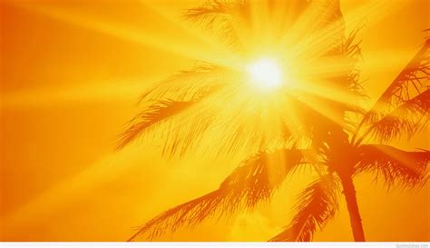 Bike Tours & Rentals | Avalon | Catalina Electric Bike Tours