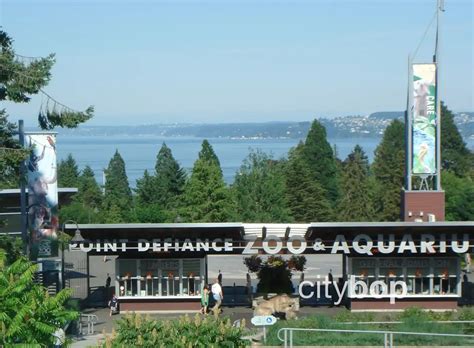 Image result for Point Defiance