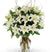 Blooming White– Bloomsvilla