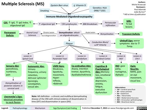 Multiple Sclerosis (MS) | Calgary Guide