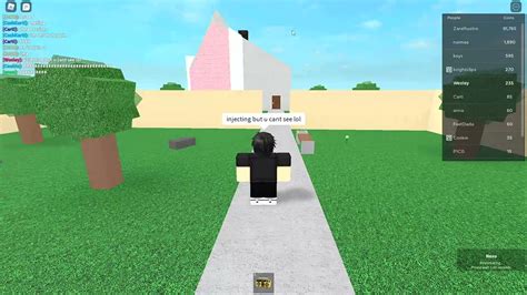 Image result for Roblox Spider Hack Script