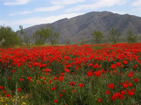 Owadan Tourism (Ashgabat) - 2022 What to Know Before You Go (with ...