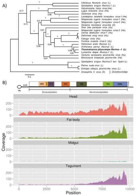 Viruses | Special Issue : Insect Viruses and Their Use for Microbial ...