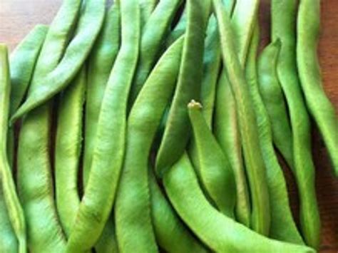 Runner Bean Problems 的图像结果