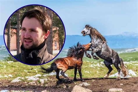 Jedna od najvećih atrakcija u BiH nije zaštićena: Livanjski divlji ...