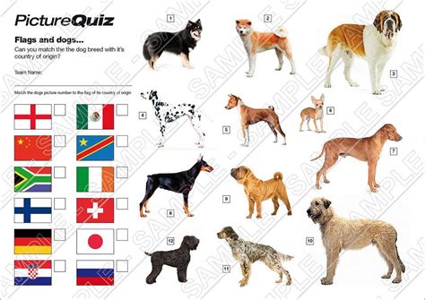 Dog Questions 的图像结果