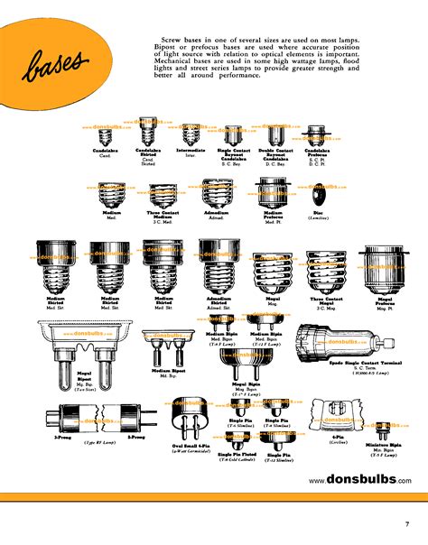 What Size Is A Standard Base Light Bulb at Nellie Glover blog