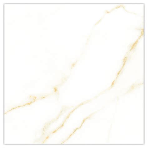 Emotion Calacatta Oro Polished 24x24 Porcelain Tile, 24X24 ...